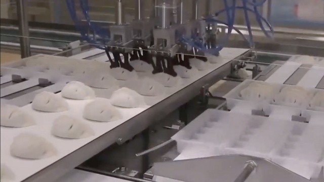 全自動時代——中國的無人工廠 自動化的帝國——中國的無人工廠